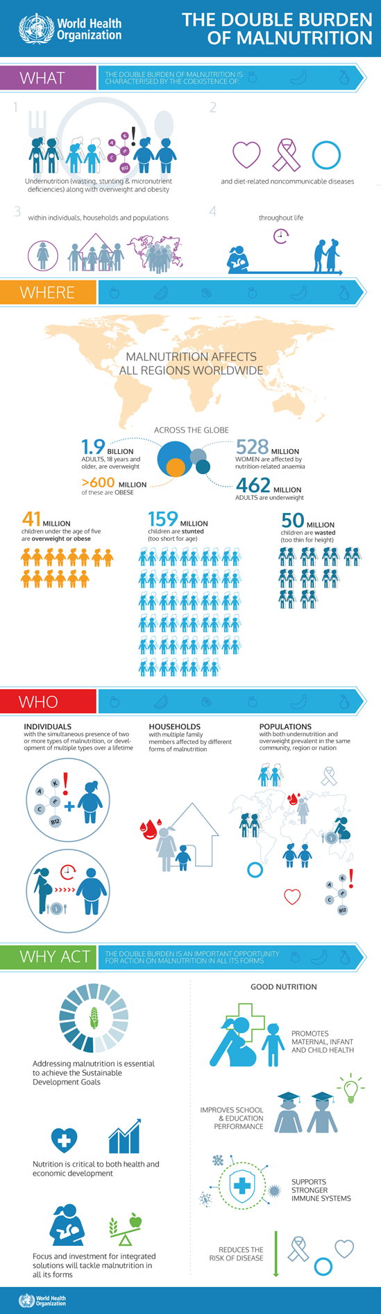 The double burden of malnutrition infographic
