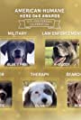 American Humane Hero Dog Awards: 10th Anniversary Celebration (2020)