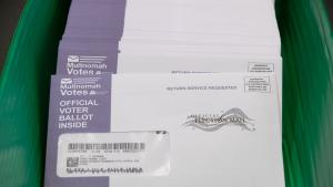 Ballots that are in the mail and postmarked by the United States Postal Service (USPS) on Election Day will be counted. 