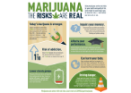 Marijuana Risks Are Real Thumbnail Image