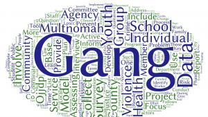 Multnomah County Comprehensive Gang Assessment