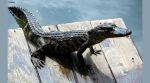 crocodile rescued Florida