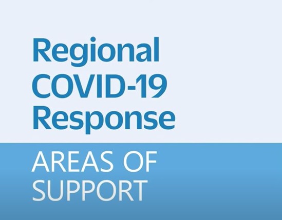 Blue graphic with WHO areas of support for COVID-19