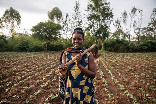 Tobacco farmer woman kenya migori