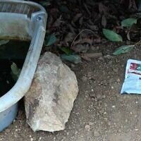 A poisoned water vessel in northern Israel, October 2023 (Natan binosovich, Israel Nature and Parks Authority)