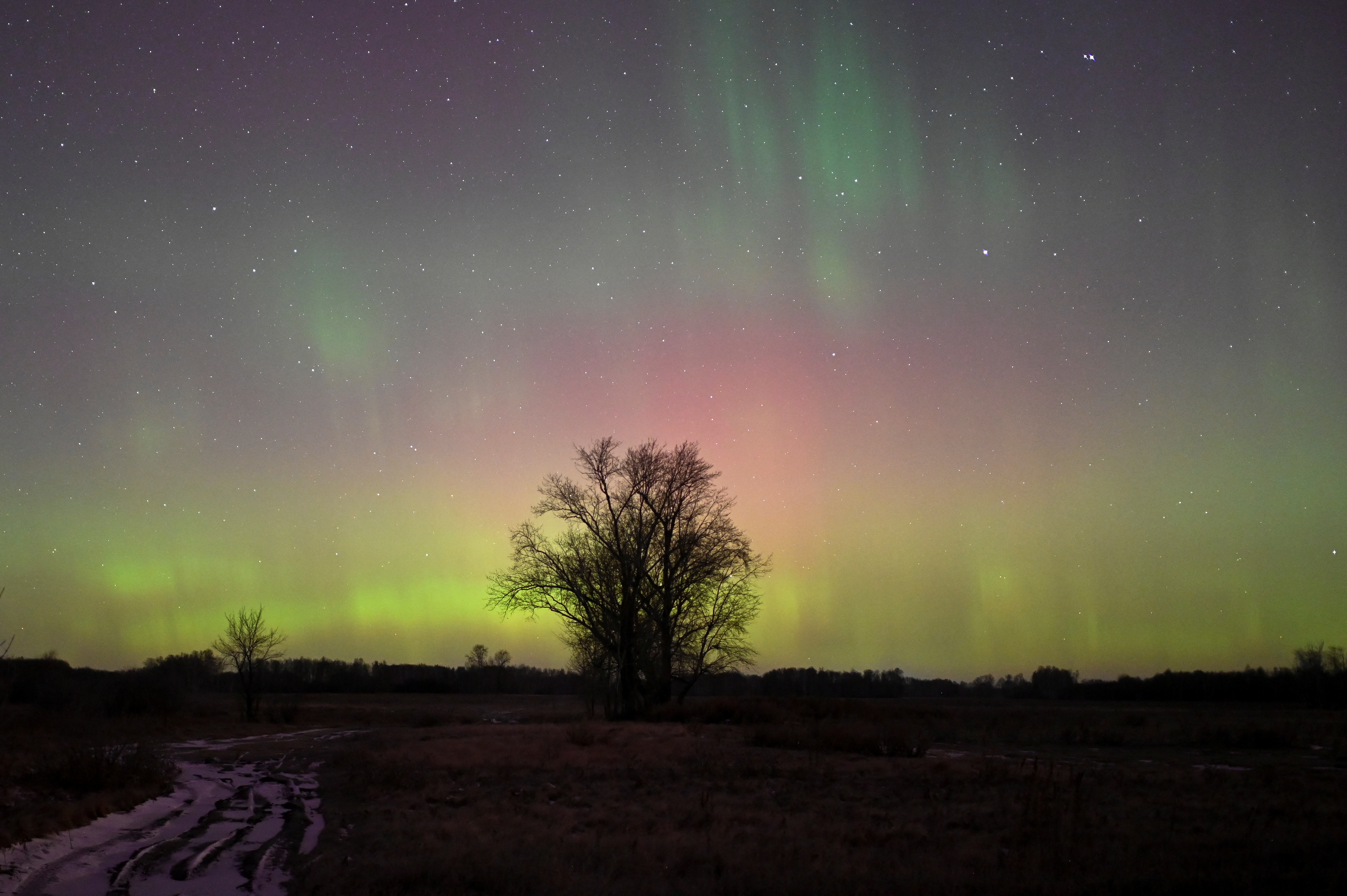 Auroras, caused by a coronal mass ejection on the Sun, illuminate the skies in Omsk region