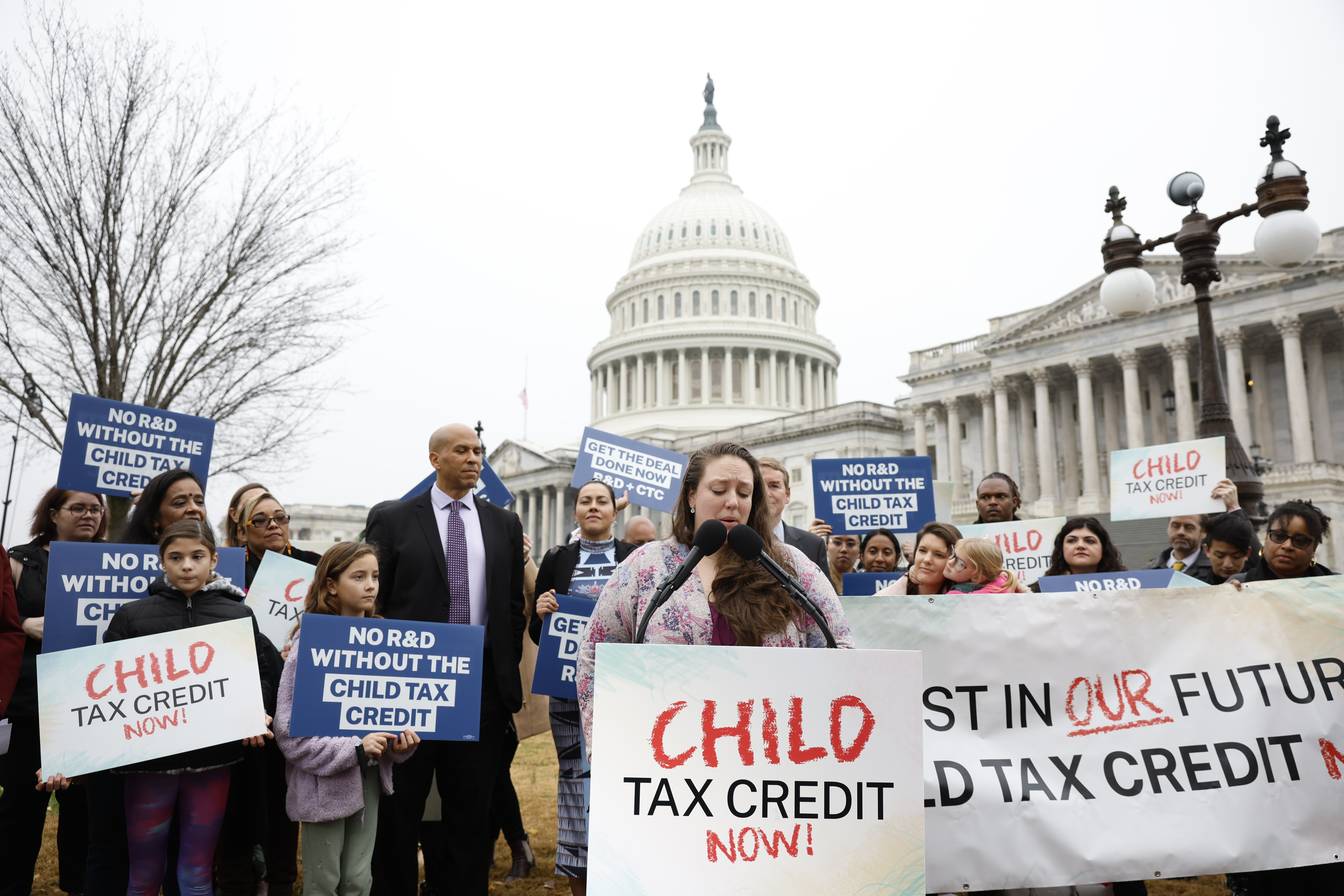 A group of people with signs referencing the child tax credit rally in front of the Capitol.