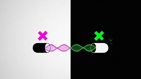 Epigenetics: Can we control our genes?