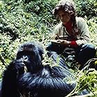 Sigourney Weaver in Gorillas in the Mist (1988)