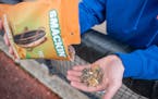 Minneapolis-based Smackin' Sunflower Seeds has found viral success online and on baseball fields.