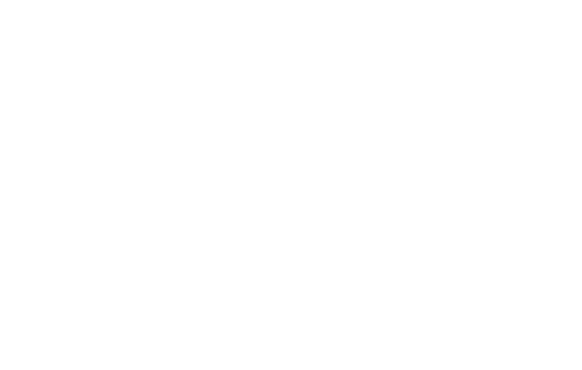 School of Professional Studies
