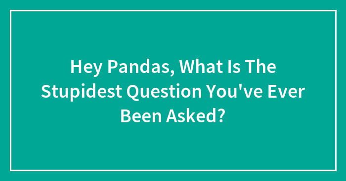 Hey Pandas, What Is The Most Stupid Question You’ve Ever Been Asked?