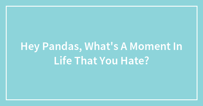 Hey Pandas, What’s A Moment In Life That You Hate?