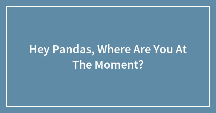 Hey Pandas, Where Are You At The Moment?