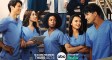 Grey's Anatomy Season 19 Cast Interns