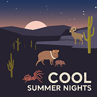 Cool Summer Nights Graphic