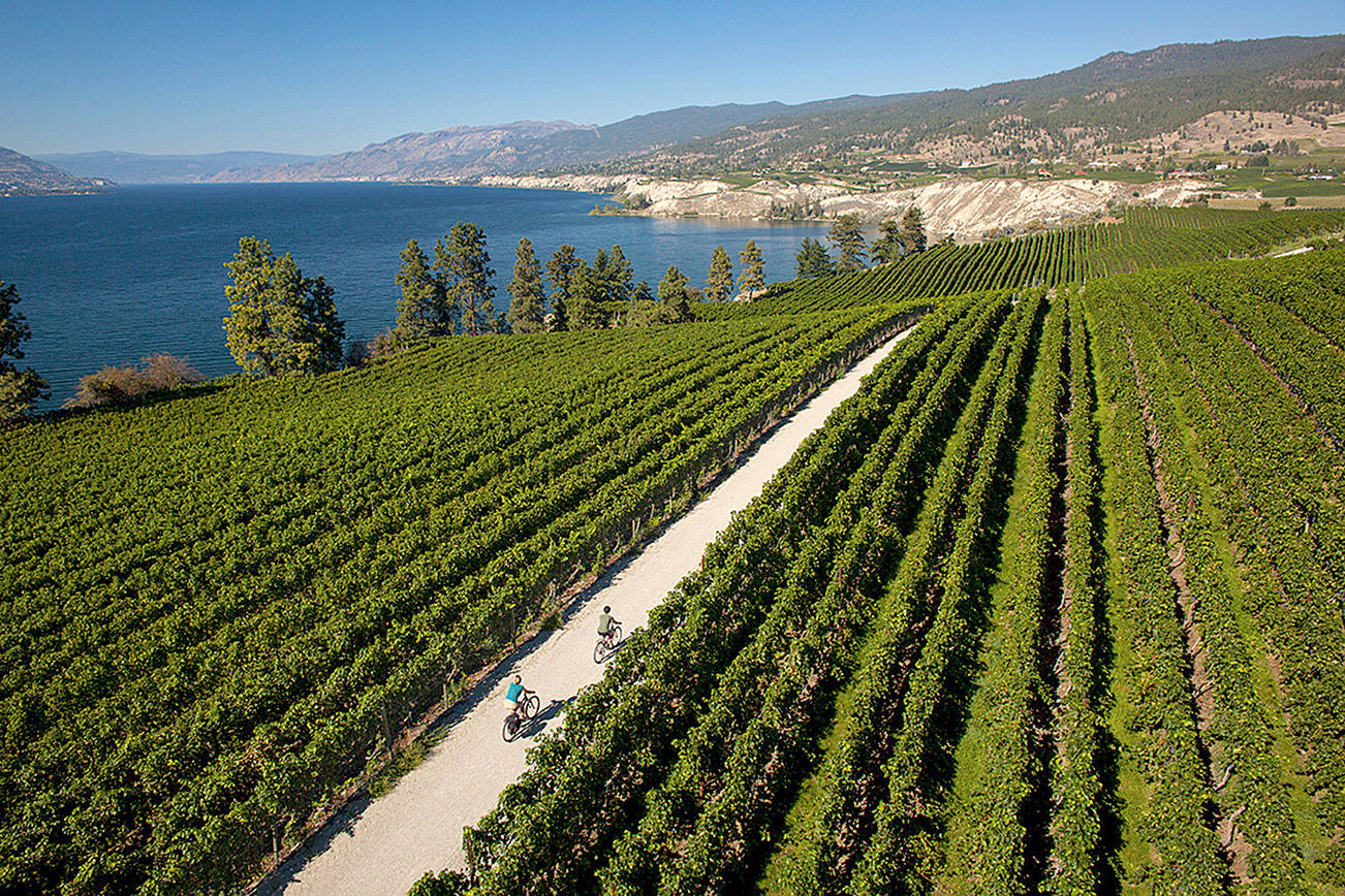A wine wonderland awaits north of the border in Canada’s Napa