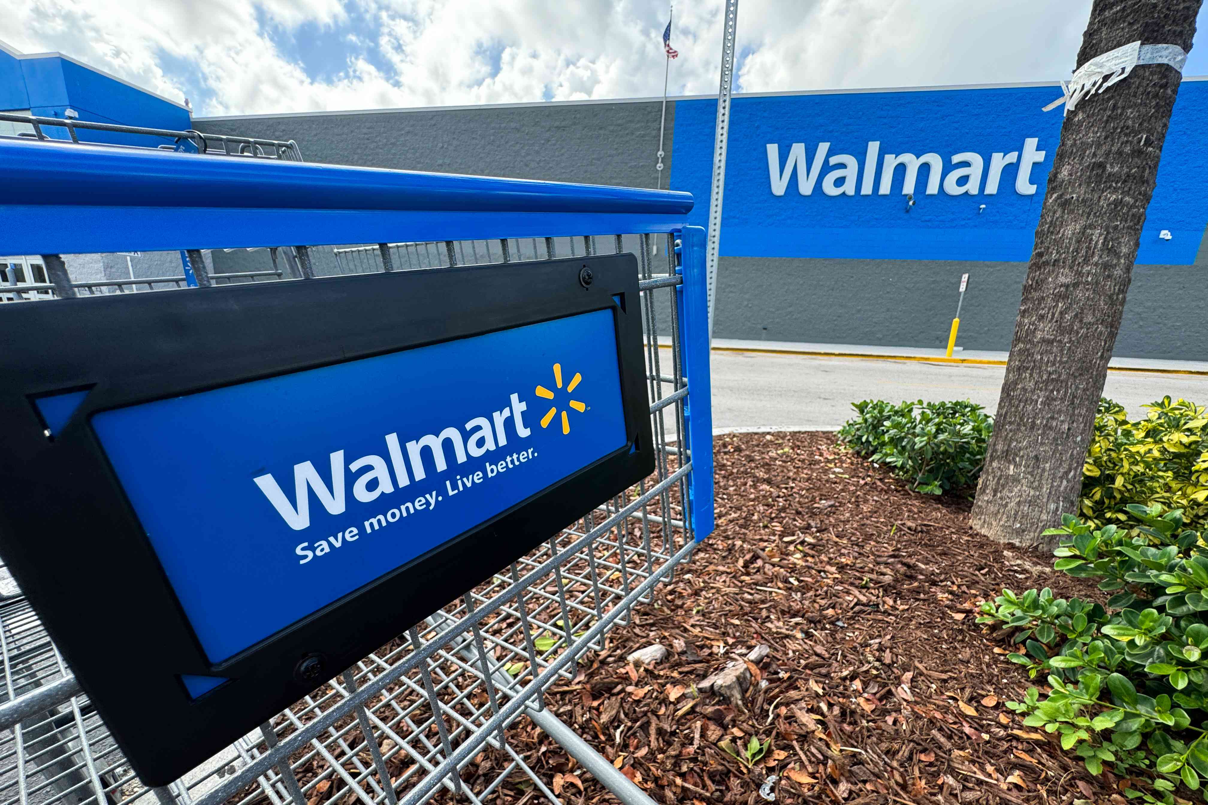 Walmart trolley is seen in Florida on May 6, 2024