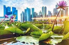 Marina Bay, with lily pond and buildings of the central business district in Singapore.