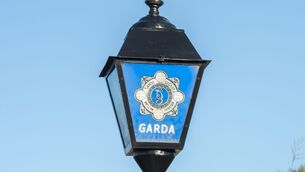 <p>Gardaí have issued an appeal for witnesses. File Picture: Dan Linehan</p>