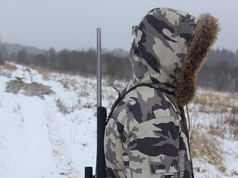 Изображение Ярославский департамент охоты пытается сгладить ущерб от незаконной добычи двадцати лосей