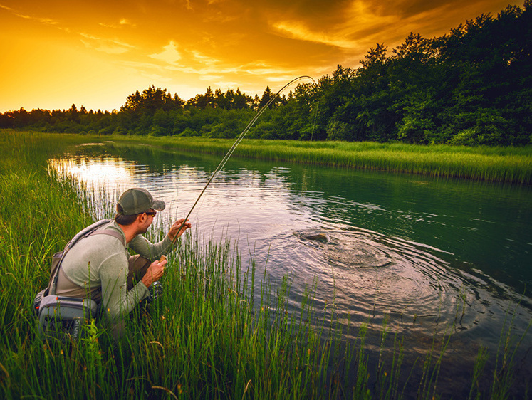 Изображение В Вологодской области ввели ограничения на рыбалку (даты и водоемы)