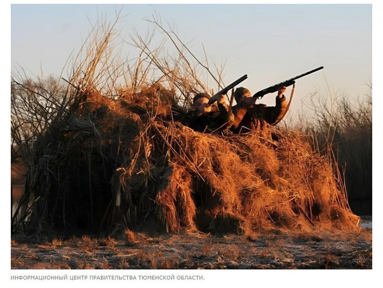 Изображение Дичь улетела: весеннюю охоту в Тюменской области сорвал паводок
