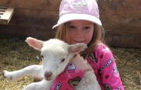 girl holding a small lamb