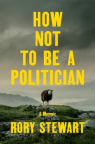 How not to be a politician : a memoir 