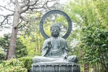 Buddha in Tea Garden