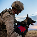 A military member with a service dog.