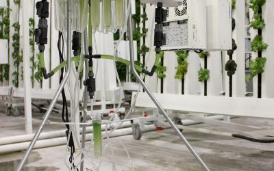 Photograph of Permabioreactor Prototype, Functional System