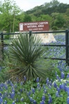 Crownridge Canyon Park