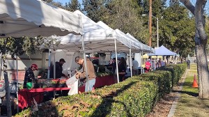 Since the 1980s, the Pasadena Farmers' Market has thrived across two locations, its initial spot at Villa Parke on 363 E. Villa St., and Victory Park, at 2575 Paloma St.
