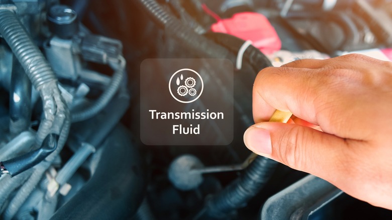 Person checking transmission fluid 