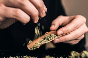 Close up marijuana joint with lighter. Man rolling a marijuana weed blunt. Man rolling marijuana cannabis blunt.