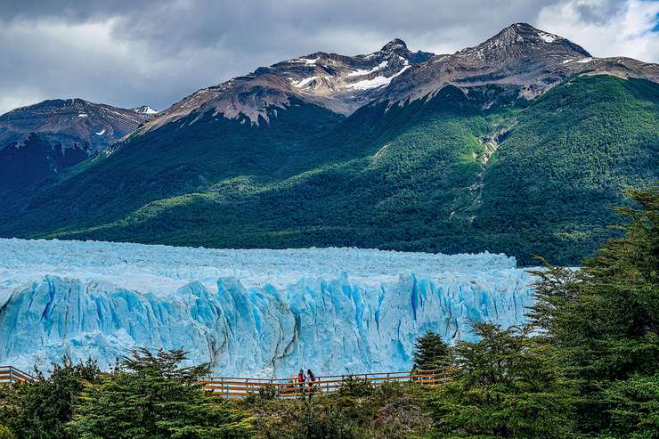Загадочная Патагония привлекает путешественников своей богатой флорой и фауной. Здесь находится уникальный ледник Перито-Морено