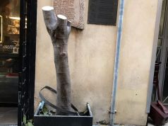 Rome: Via Margutta loses its landmark fig tree