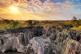 Tsingy de Bemaraha Strict Nature Reserve, Madagascar