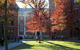 Harvard University in America