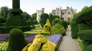 The ancient topiary of Levens Hall