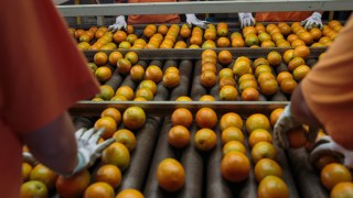 The wholesale cost of orange juice has more than doubled in a year after higher temperatures, lower rainfall and disease affected production in Brazil