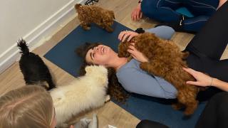 The founder of Puppy Yoga in Italy is contesting the ban