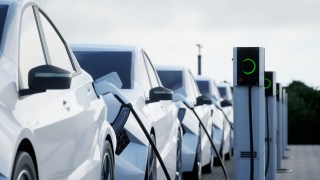 Electric vehicles are expected to make up less than one fifth of new sales this year