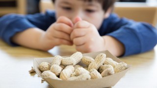 Scientists suggest children consume peanuts from weaning until the age of five