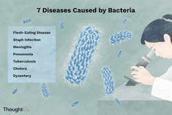 Diseases Caused by Bacteria