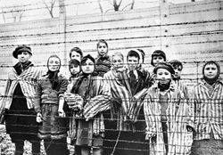 child survivors behind a barbed wire fence at the Nazi concentration camp at Auschwitz