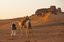 man walks with camel in desert