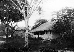 Belgian river station on the Congo River, 1889