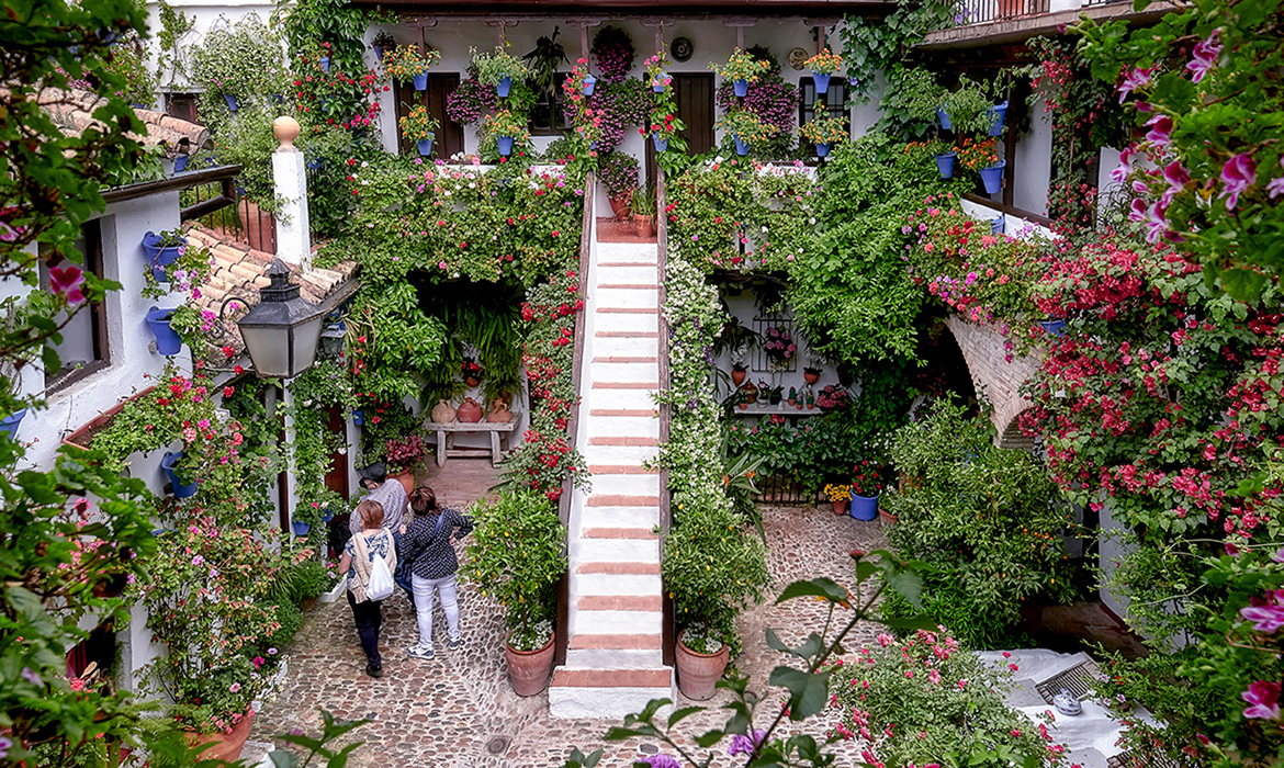 The courtyards Festival of Cordoba (Spain)